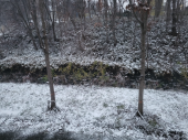 初雪～積雪7㎝ 画像1
