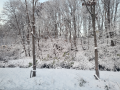 初雪～積雪7㎝
