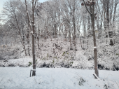 初雪～積雪7㎝ 画像2