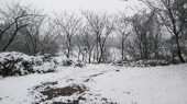 雪だぁ～…↓ 画像1