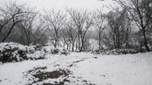 直した廊下＆雪の状況…→ 画像1