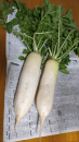 野菜山ほど と 果物山ほど