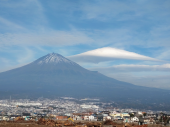 年賀状だけの付き合いは・・ 画像1