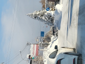 プレゼントは雪？ 画像1