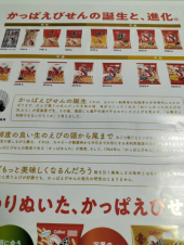 チラシ 画像3
