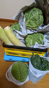 超強風 と ポイントで支援 画像1