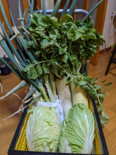 野菜どっか〜ん と その下処理 画像1