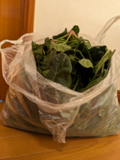 野菜どっか〜ん と その下処理 画像2