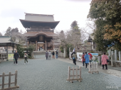 阿蘇神社ツア-曇 画像1