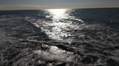海その愛 画像1