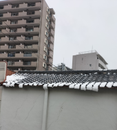 昨日 画像2
