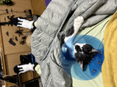 no title 画像3