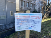 冬の朝♪ 画像1