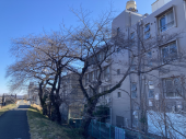 冬の朝♪ 画像3