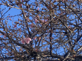 おともだち♪ 画像1