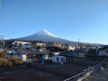 悪さが舞う