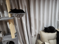 息子も驚いた