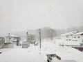 雪が降っている