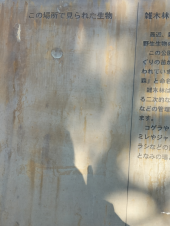 作戦変更 画像2