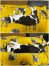 鱒