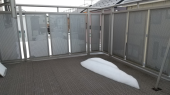 悲しみは雪のように 画像1