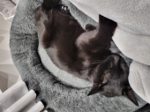 父のその後の病状 画像1