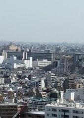 癒やされた 画像1