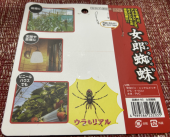 チーズハンバーグ 画像3