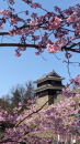 信州上田 と 太鼓