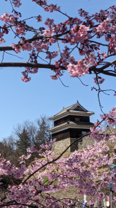 信州上田 と 太鼓 画像3