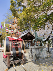 no title 画像2
