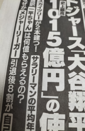 何だかな 画像1