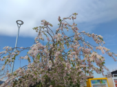 完全休息日…→ 画像2