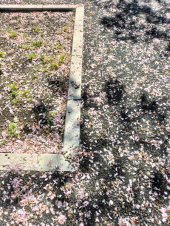 よくわからないが 画像3