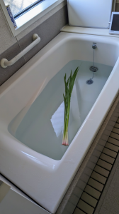 しょうぶ湯 画像1