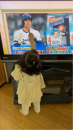 久しぶりの日記
