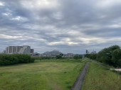 みちくさ♪ 画像1