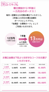 24＋2万円 画像1