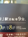新機軸？