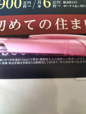 新機軸？ 画像2