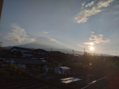 また消えた 画像1