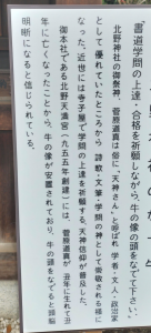 趣味 画像2