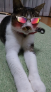 お弁当終了