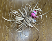いちごレアチーズぷにゃ 画像2