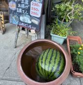尾花沢すいか 画像1