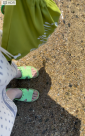 240818　海へ 画像1