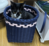 ゴッドアイ 画像2