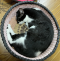 ネコダカラ