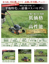 荒馬 と ミョウガ 画像1