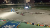 道営競馬視察見学 画像1